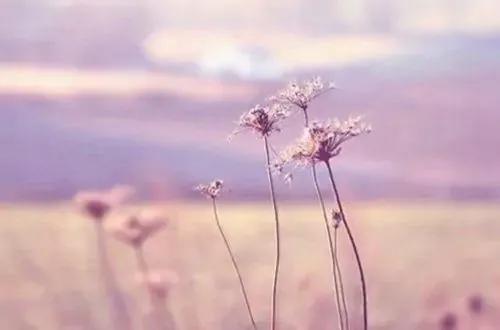 经典短句(精神胜利法经典短句)