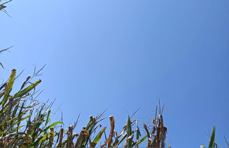 最新搞笑语录精选2020(最新上映的搞笑电影有哪些)