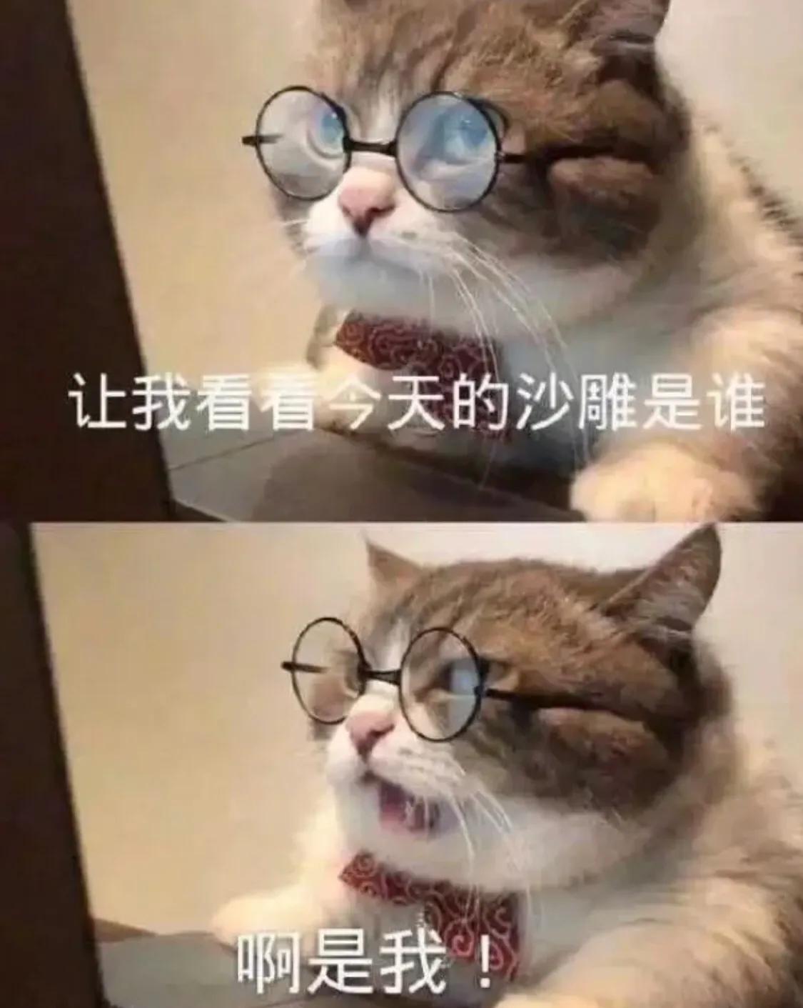 搞笑文案短句沙雕日常(晒娃搞笑文案短句沙雕)