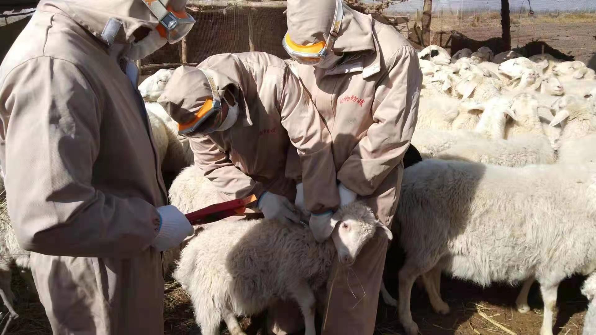 制定自己的签名(做一个优秀的文案策划)