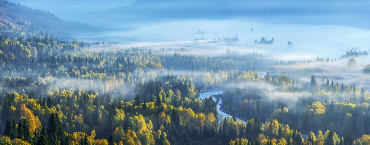 安全感的句子说说(有哪些失望至极的句子推荐)