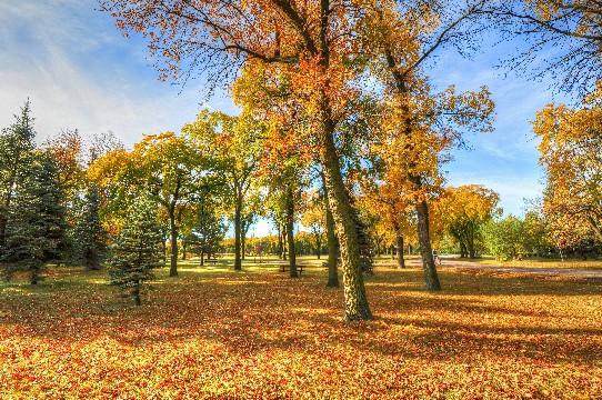 爱情励志的句子致自己简短(如何激励一个人努力学习)