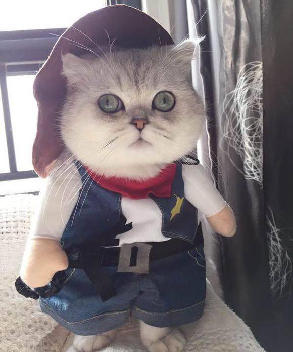 搞笑短句子大全(求订单的搞笑句子)