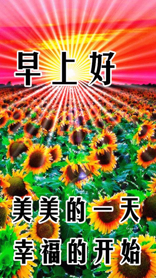 搞笑励志语录经典短句子(或者幽默搞笑的事情是什么)