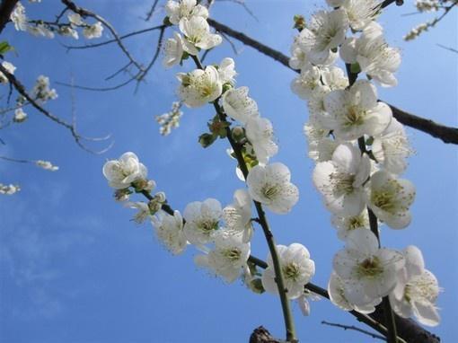 极度抑郁的短句(郁闷无奈的句子说说心情)