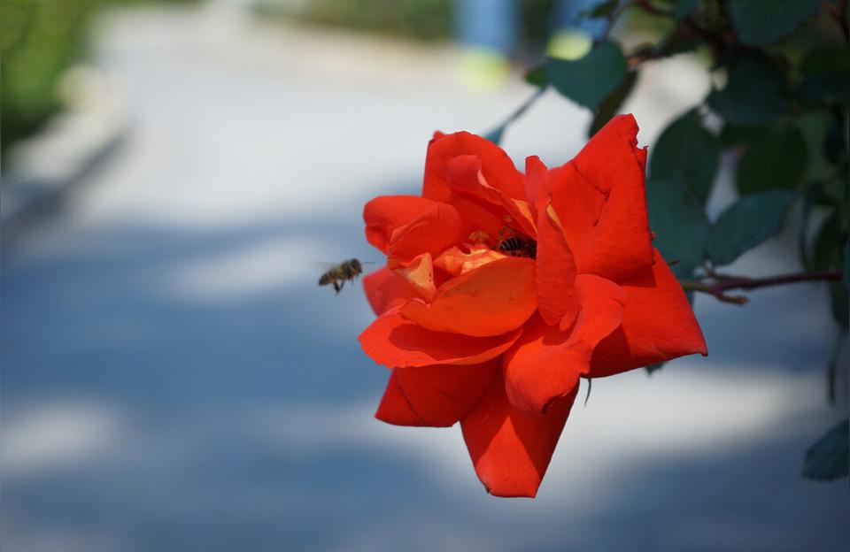 伤感短句 八字(再没有知情人可来往)