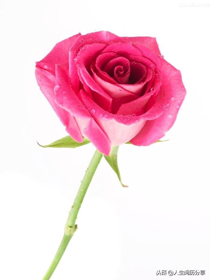 爱情句子短语(文案短句伤感爱情)