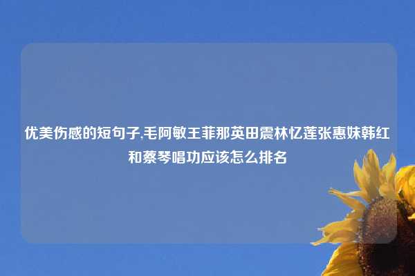 优美伤感的短句子,毛阿敏王菲那英田震林忆莲张惠妹韩红和蔡琴唱功应该怎么排名