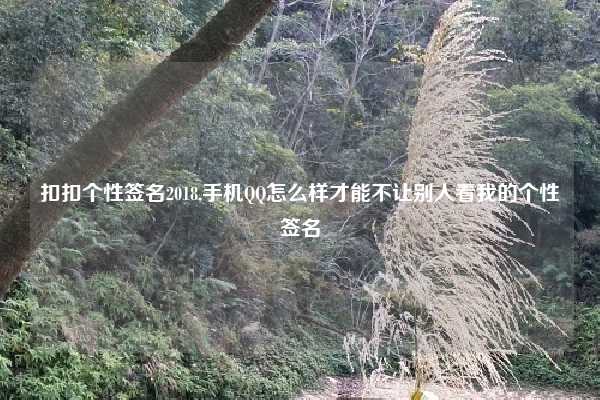 扣扣个性签名2018,手机QQ怎么样才能不让别人看我的个性签名