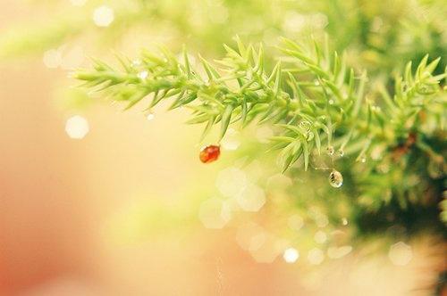 抖音最火的经典语录(抖音文案能写名人名言吗)