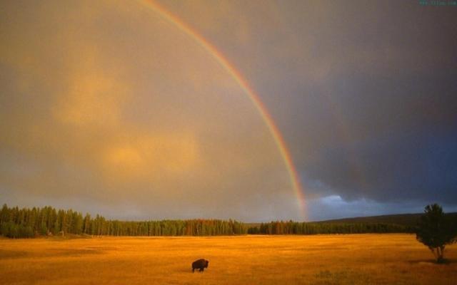 人生格言励志短句(你最喜欢的一句座右铭是什么)