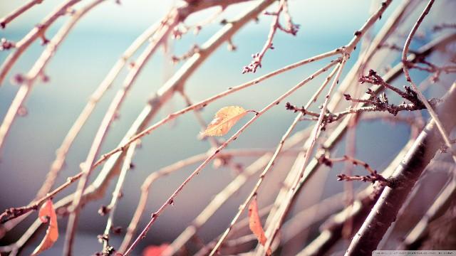 表示自己恋爱的说说(小说中有哪些把你虐的死去活来的句子)