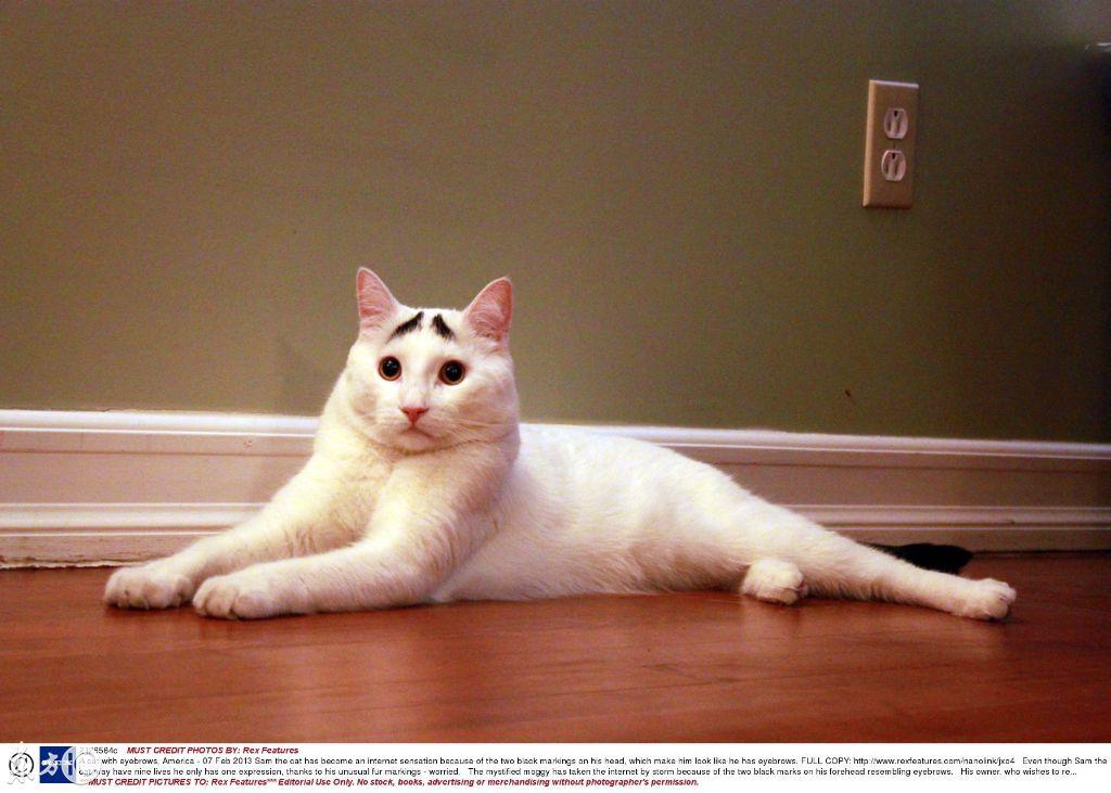 八字干净短句伤感(关于爱情美好的句子)