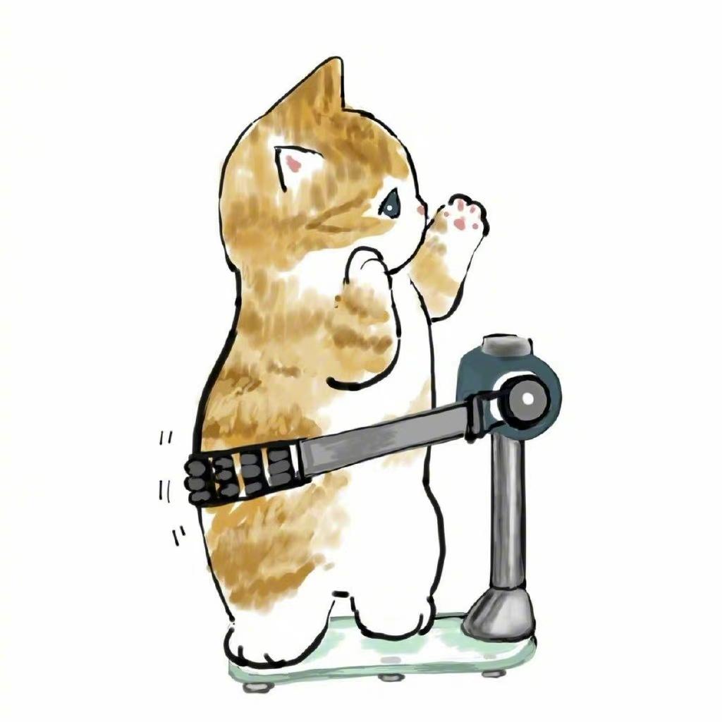 减肥搞笑语录(减肥标语搞笑又幽默的)