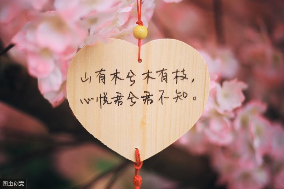 爱情句子短句 伤感(有哪些小众文案无关爱情)