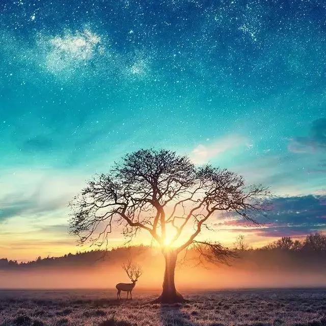 个性签名励志经典短句八个字(可以分享一些关于德云社的励志句子吗可以贴在桌子上的那种)