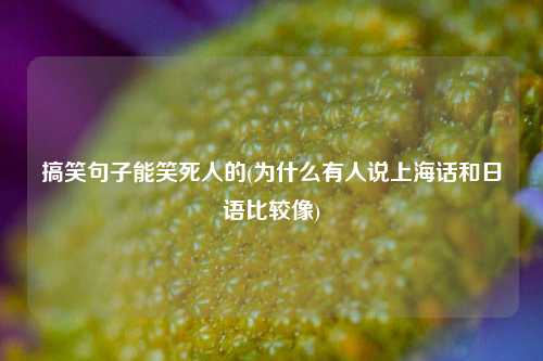 搞笑句子能笑死人的(为什么有人说上海话和日语比较像)