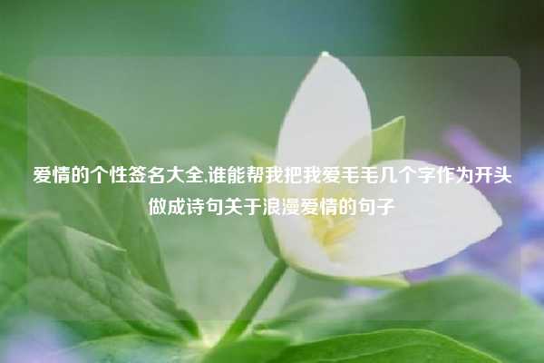 爱情的个性签名大全,谁能帮我把我爱毛毛几个字作为开头做成诗句关于浪漫爱情的句子